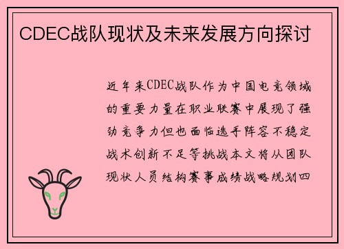 CDEC战队现状及未来发展方向探讨